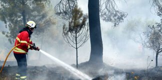 Fogo em Tavira obriga a cortar Via do Infante, mas trânsito já reabriu