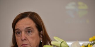Isabel Jonet diz que 80% das 26 mil toneladas de alimentos recolhidas pelos BA teria a destruição como destino