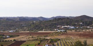 Albufeira, Loulé, Silves e Universidade do Algarve preparam candidatura a geoparque mundial