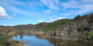 Municípios do Algarve querem estudo de impacte ambiental para nova barragem