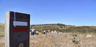 Parceria entre Via Algarviana e empresários é para “aprofundar”
