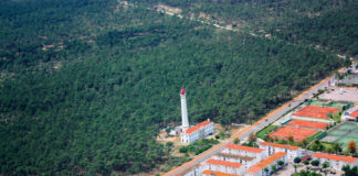 Mata de VRSAntónio escolhida para projeto europeu que valoriza costa do Mediterrâneo