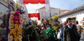 Procissão da Festa das Tochas Floridas nomeada para as ‘7 Maravilhas da Cultura Popular’