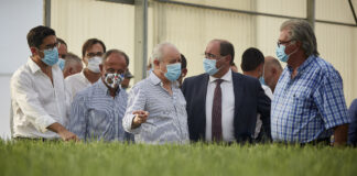 Rui Rio defende medidas específicas de apoio à economia do Algarve