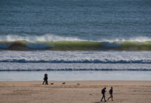 Participantes na Jornada Mundial da Juventude realizam ação ambiental na cidade de Faro