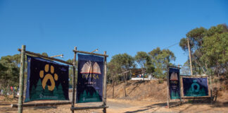 CNE do Algarve está a promover nova atividade escutista regional para Lobitos e Exploradores e Moços