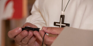 Quatro novas consagradas vieram este ano trabalhar para o Algarve