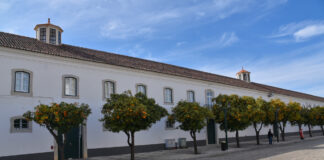 Seminário da Diocese do Algarve conta com oito seminaristas