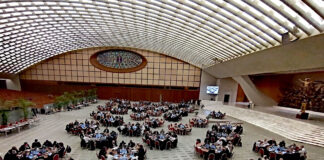 Rede Sinodal e Universidade Católica querem estudar a aplicação do Sínodo