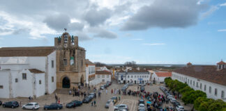 Domingo de Ramos: “Devemos deixar-nos envolver e entrar no mistério pascal para também morrermos e ressuscitarmos com Cristo”