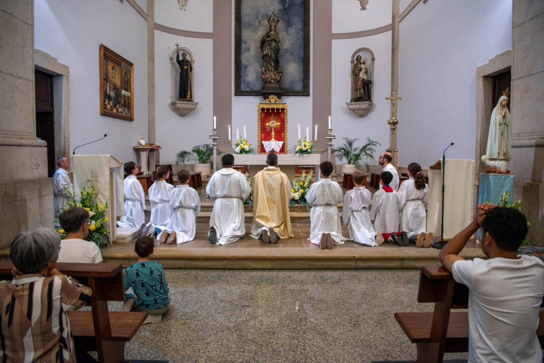 Abertura_lausperene_20258