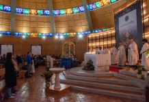 Jubileu do Mundo Educativo desafiou educadores a serem “semeadores de esperança”