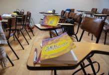 Coordenadora da Catequese da Infância da Diocese do Algarve alerta que ‘Ser Catequista’ é para todos os catequistas