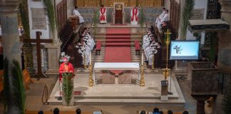 Jornada da Juventude: Bispo do Algarve pediu aos jovens que não sejam “cristãos só de Domingo de Ramos”