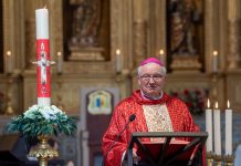 Sínodo: Bispo do Algarve aponta como “programa” diocesano o caminho de preparação da Assembleia Eclesial de 2028
