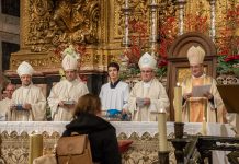 Diocese do Porto acolheu nomeação do seu bispo auxiliar para bispo do Algarve com “profunda e jubilosa alegria”
