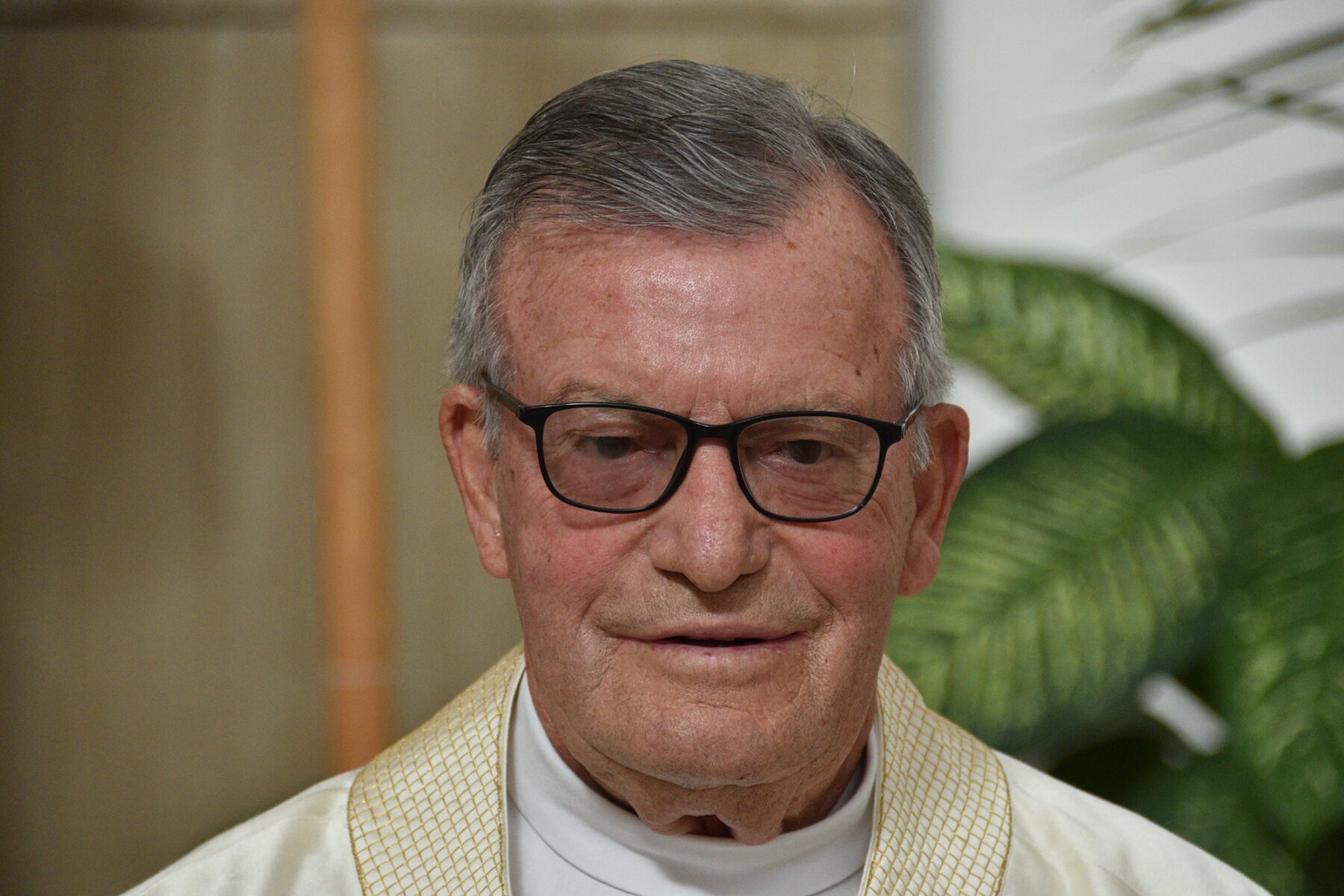 50_anos_sacerdocio_padre_joaquim_martins_santos-21