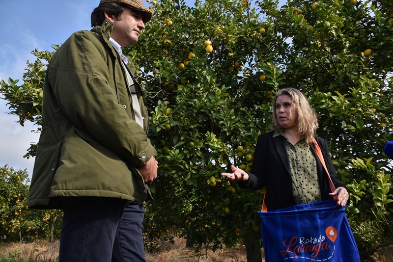 Rota_laranja_silves-7