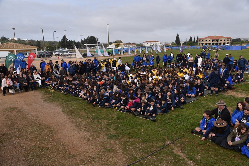 Dia_bp_2020-11