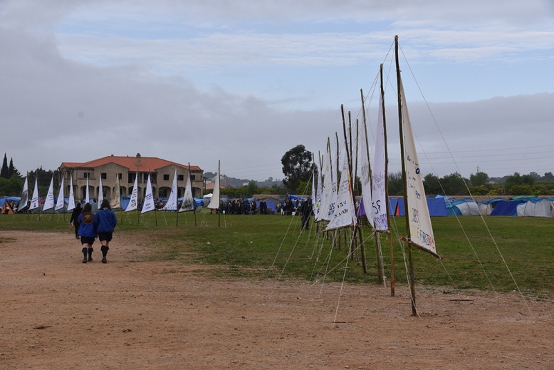 Dia_bp_2020-6
