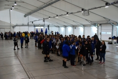 Dia_3_seccao_cne_2017 (47)