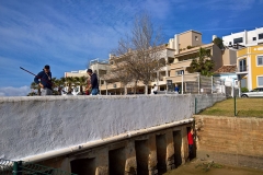 Dia_s_paulo33a_2017