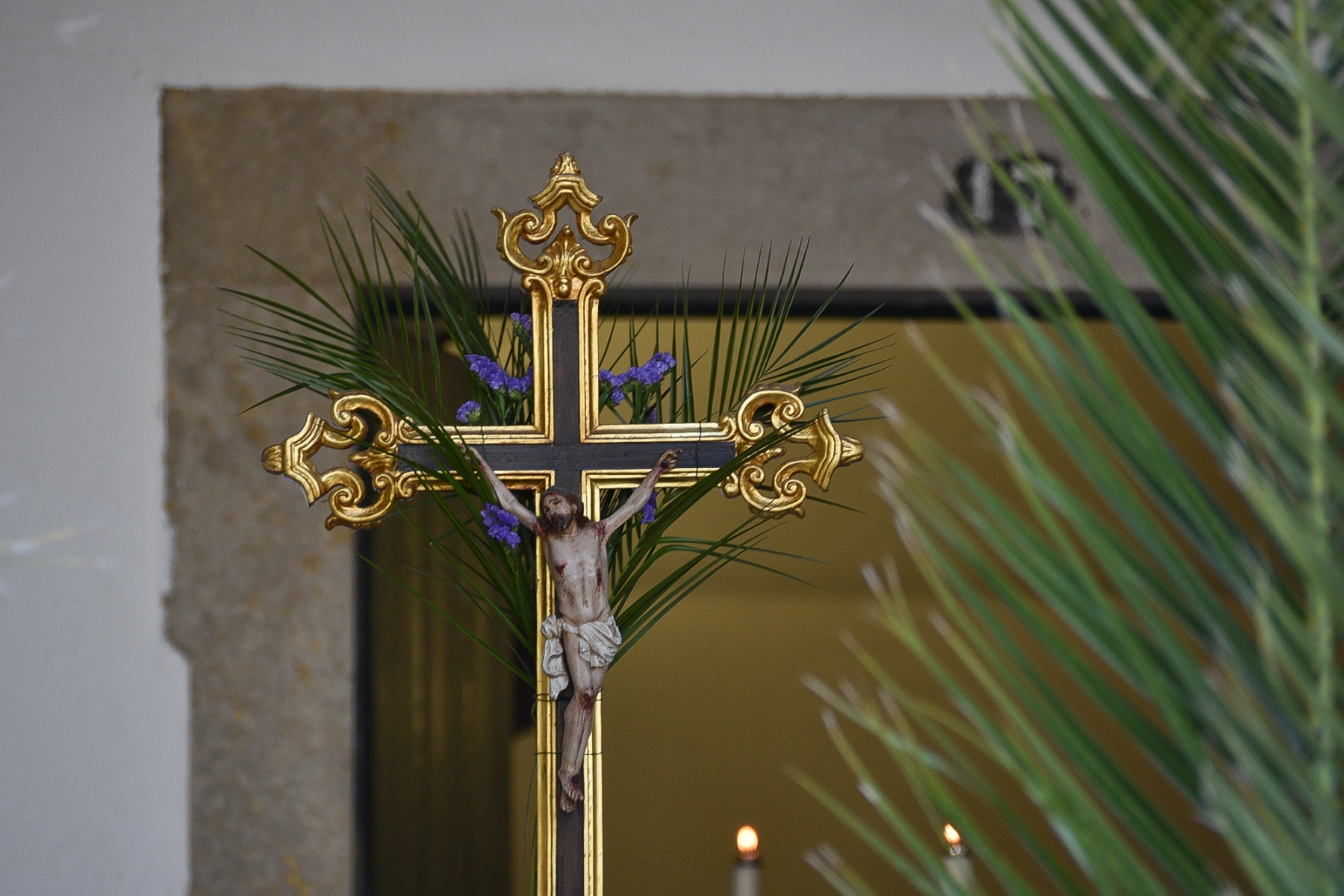 Domingo_ramos_2023_12