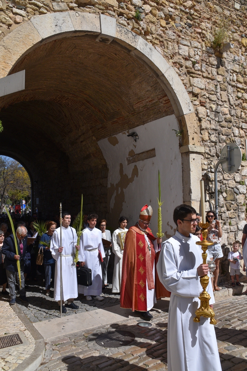 Domingo_ramos_2023_30