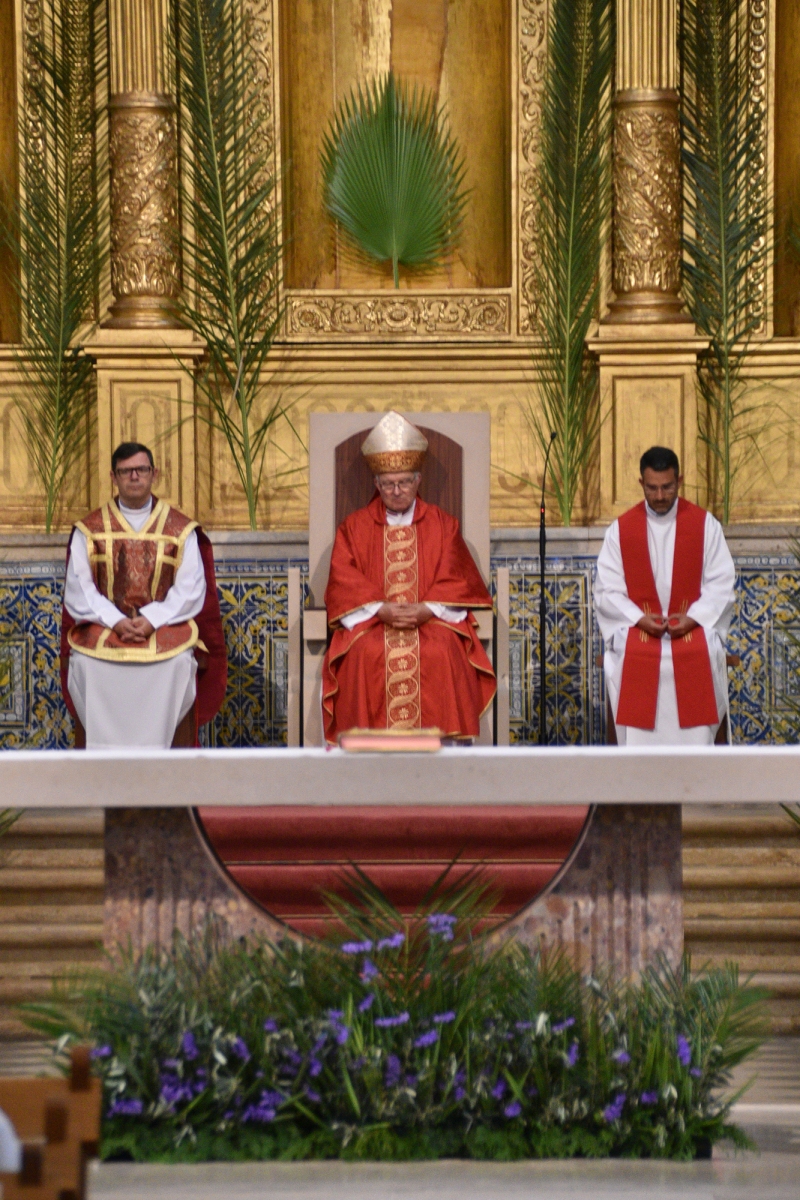Domingo_ramos_2023_38