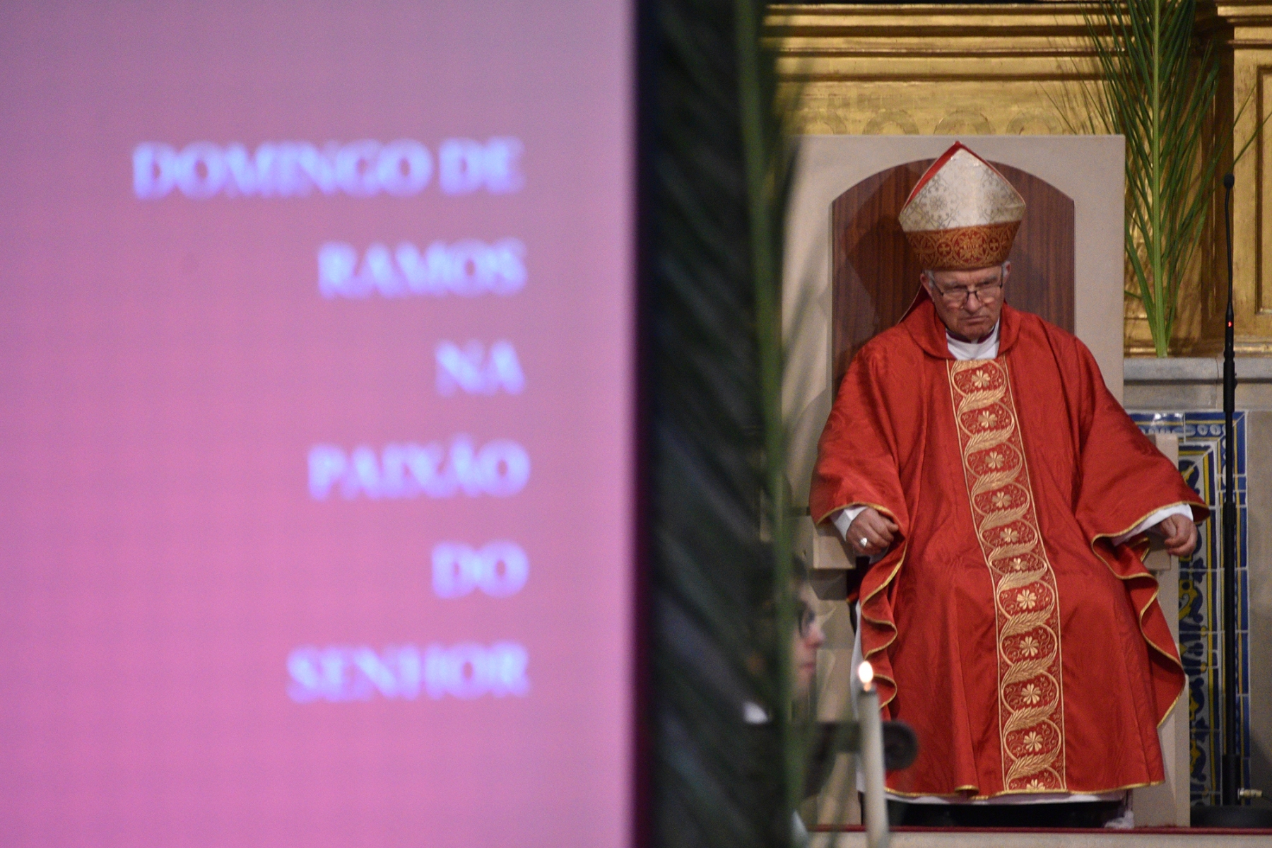 Domingo_ramos_2023_39