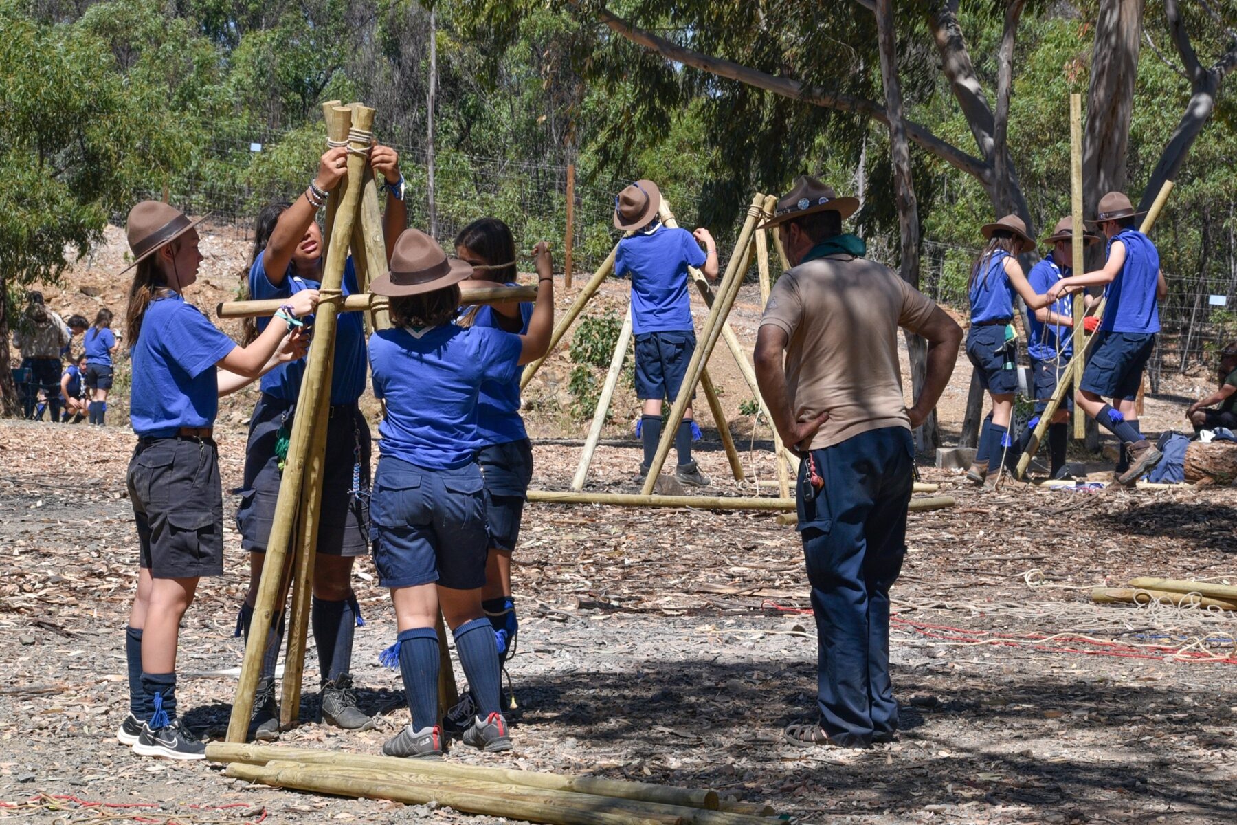 Tecoree_2023-18