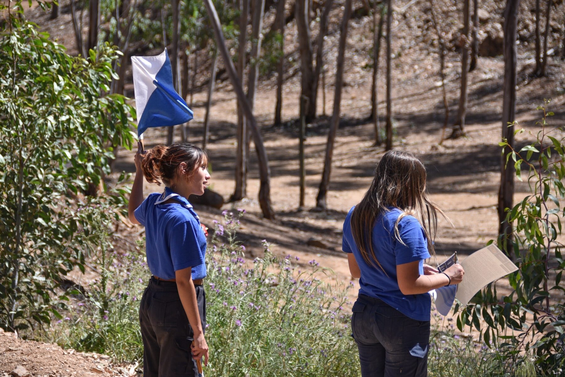 Tecoree_2023-29