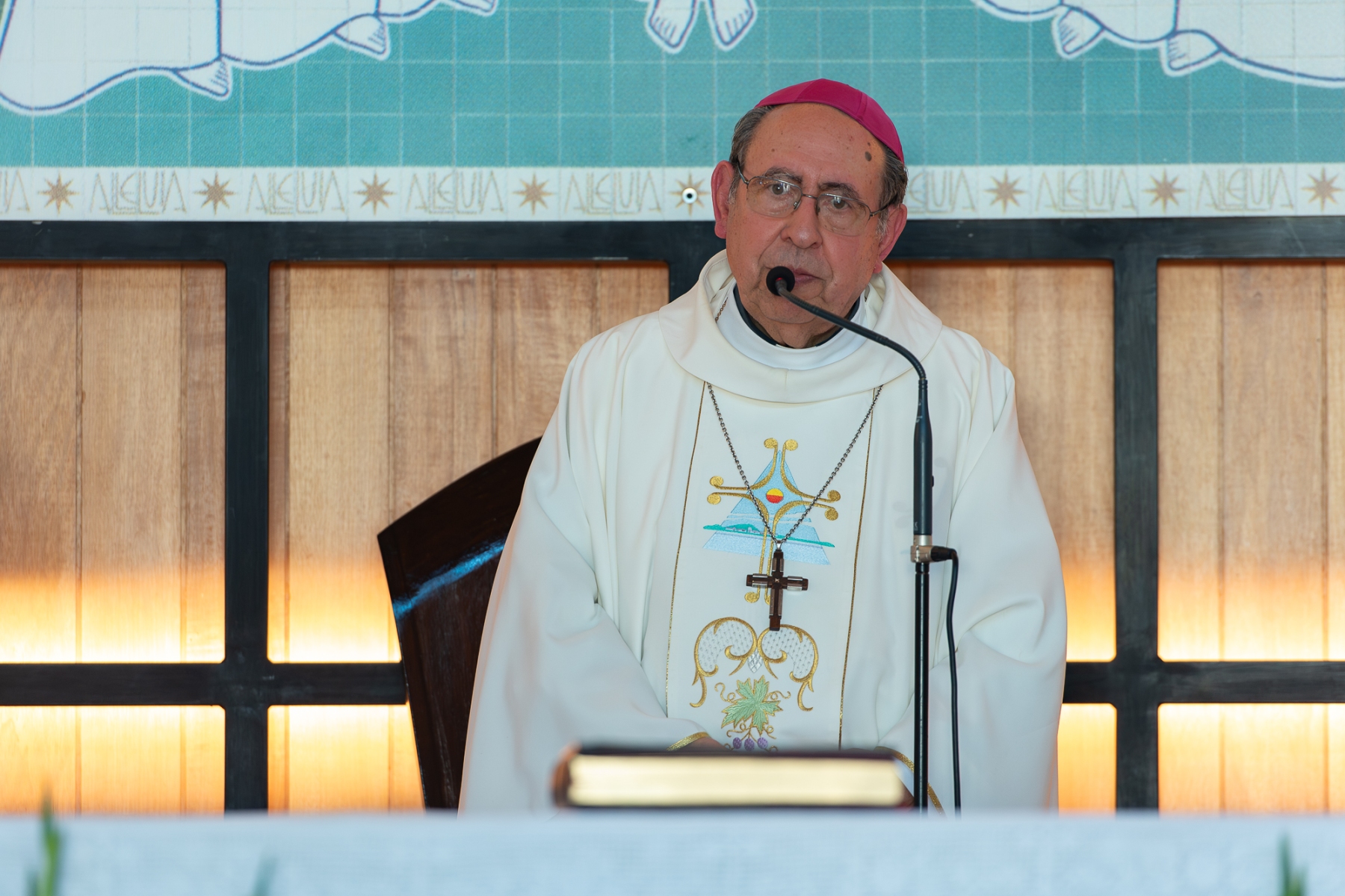 Eucaristia_25_anos_ordenacao_episcopal_d_antonio_carrinho11