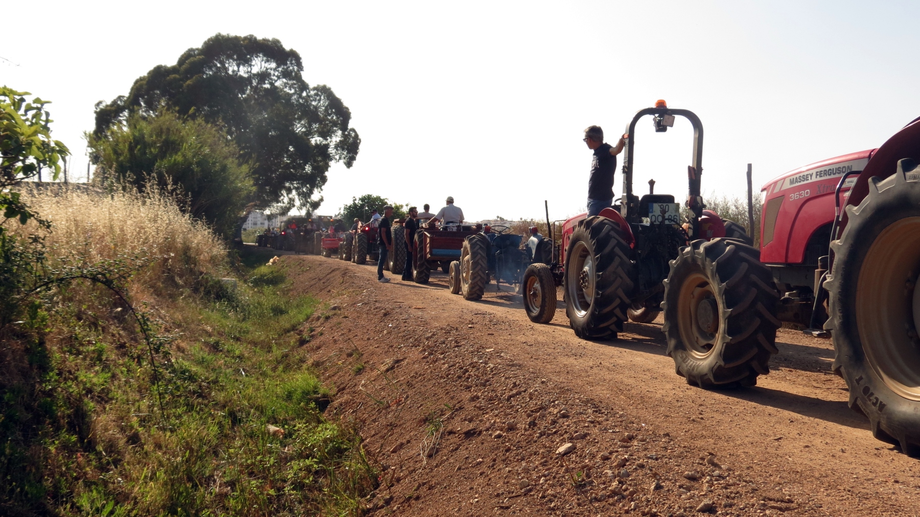 Festa_familia_agraria_lagoa_cortejo_processional-15