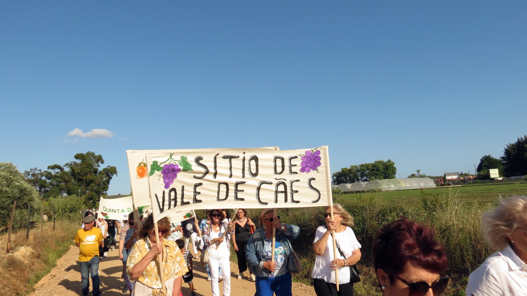 Festa_familia_agraria_lagoa_cortejo_processional-31