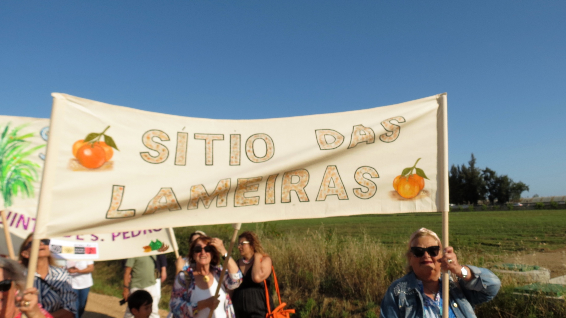 Festa_familia_agraria_lagoa_cortejo_processional-32