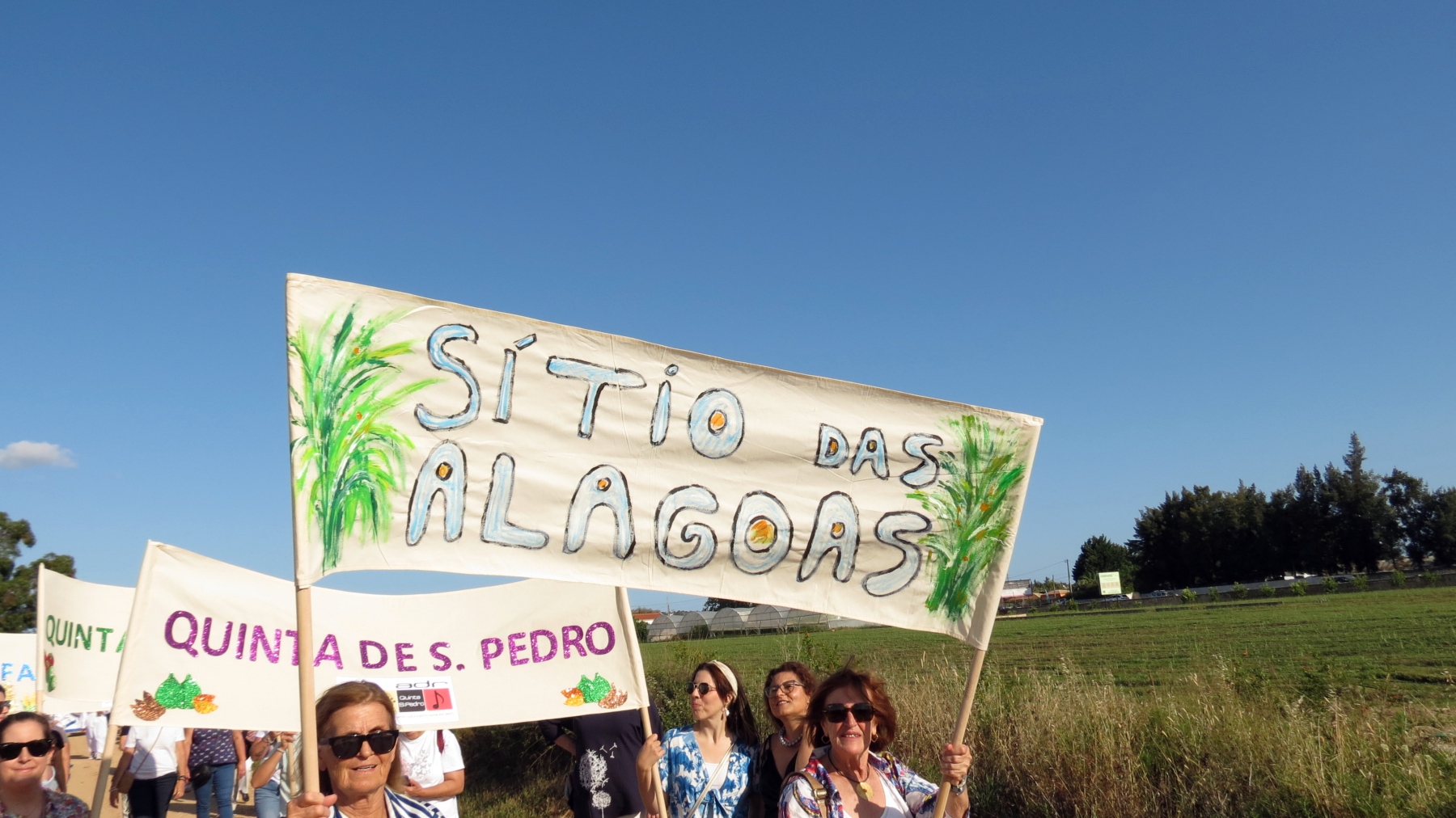 Festa_familia_agraria_lagoa_cortejo_processional-33