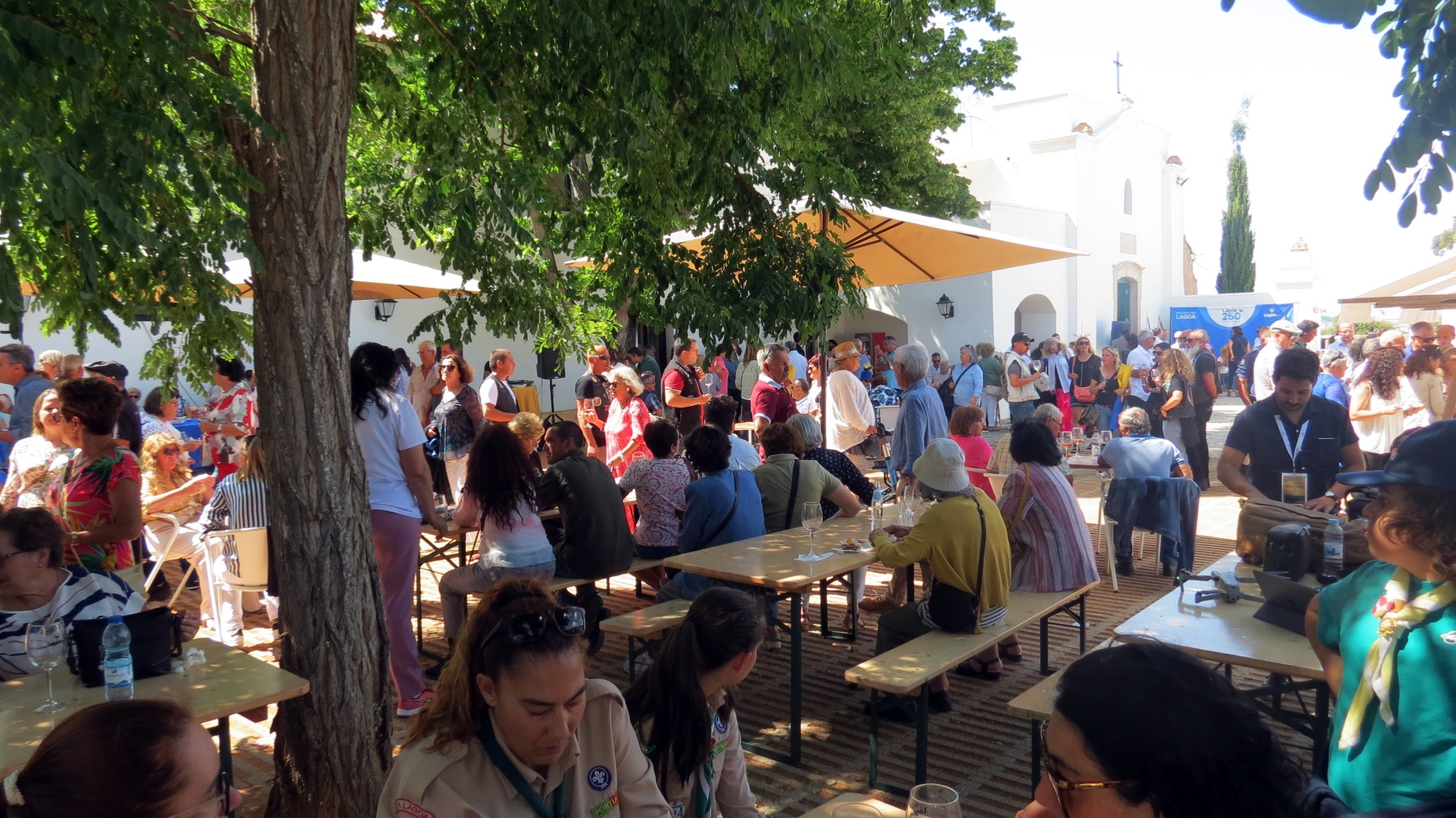 Festa_familia_agraria_lagoa_cortejo_processional-5