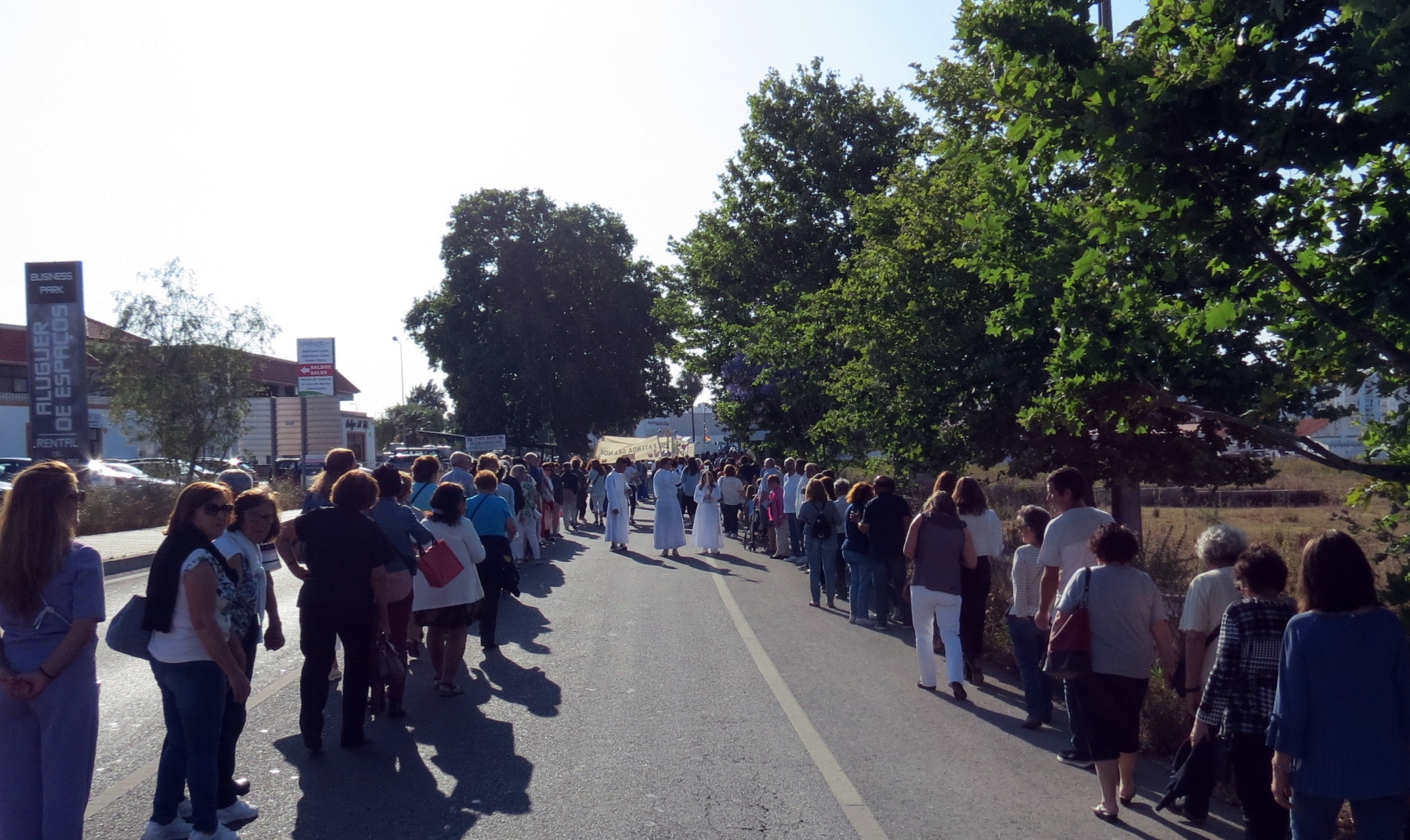 Festa_familia_agraria_lagoa_cortejo_processional-56