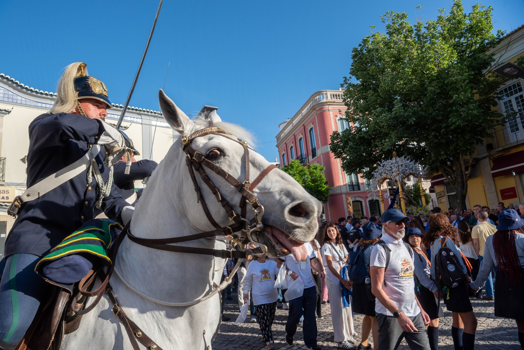 56Festa_grande_mae_soberana_2026