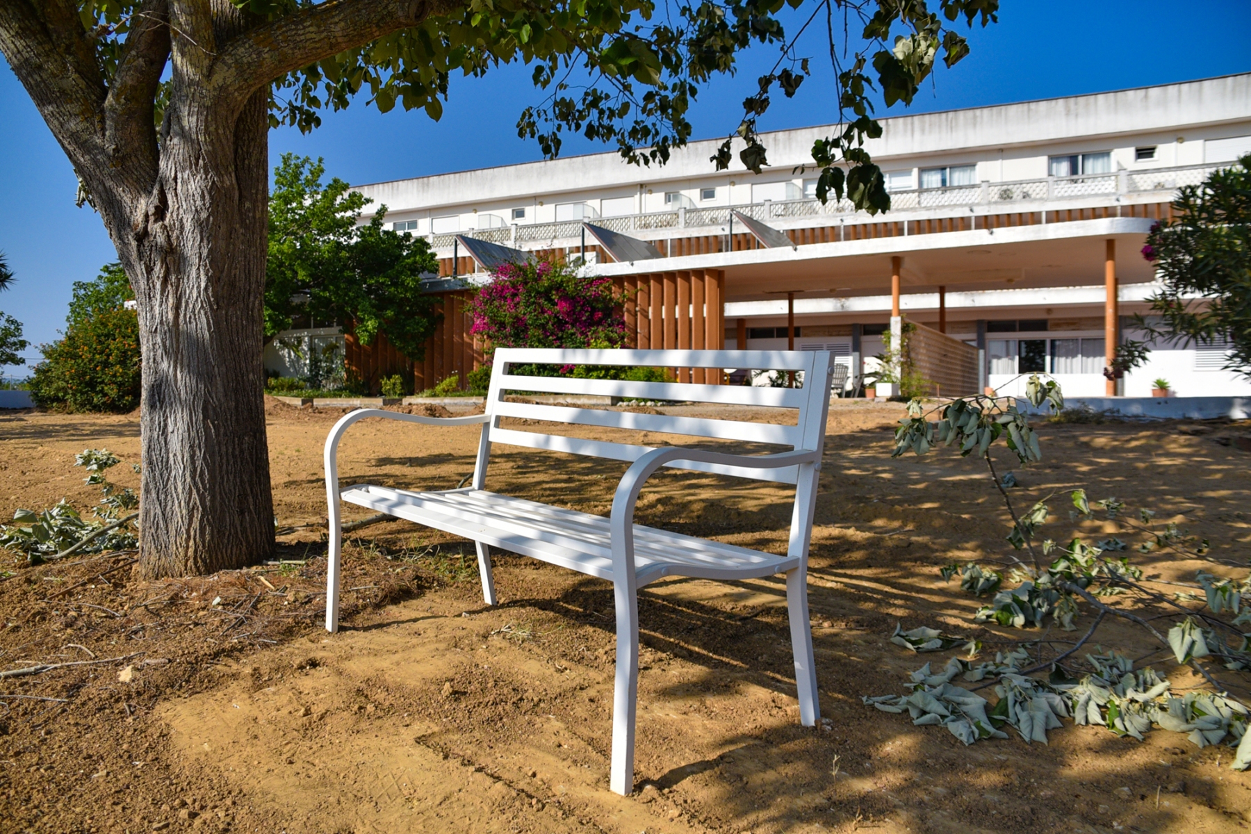 Casa_retiros_s_lourenco_obras_terreno-37