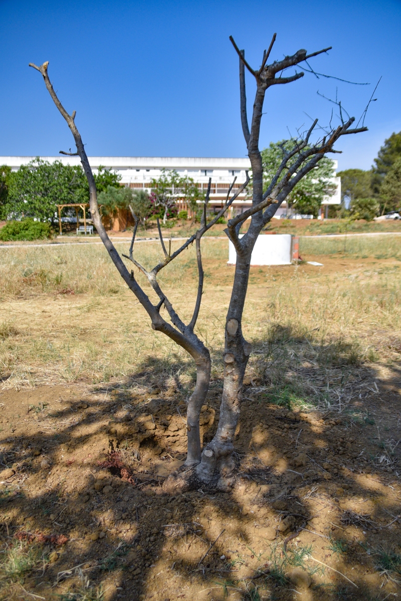 Casa_retiros_s_lourenco_obras_terreno-4