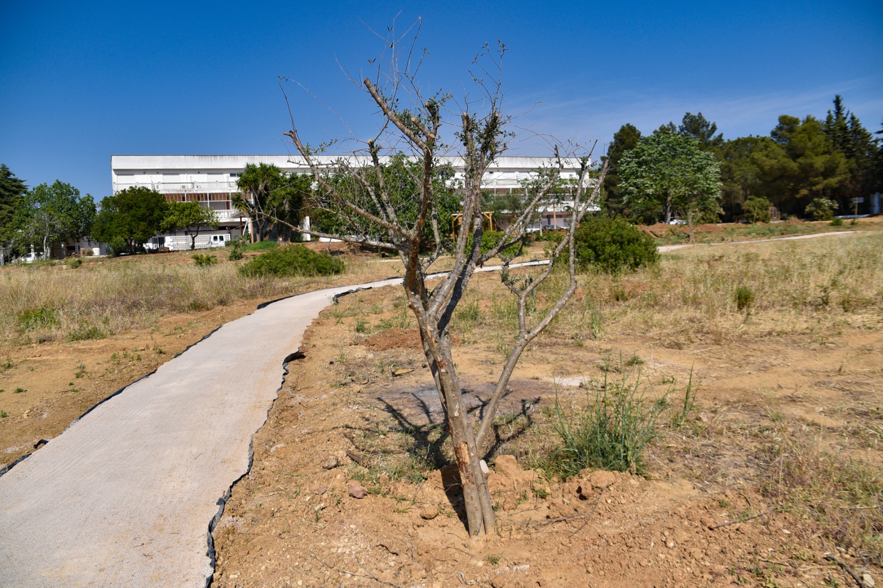 Casa_retiros_s_lourenco_obras_terreno-6