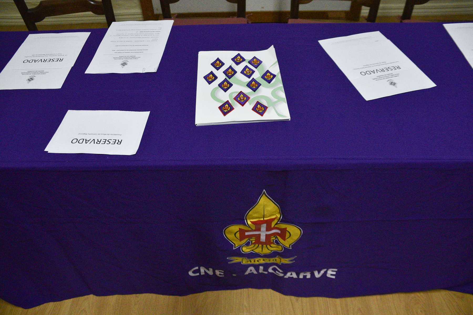 Tomada_posse_orgaos_regionais_cne1